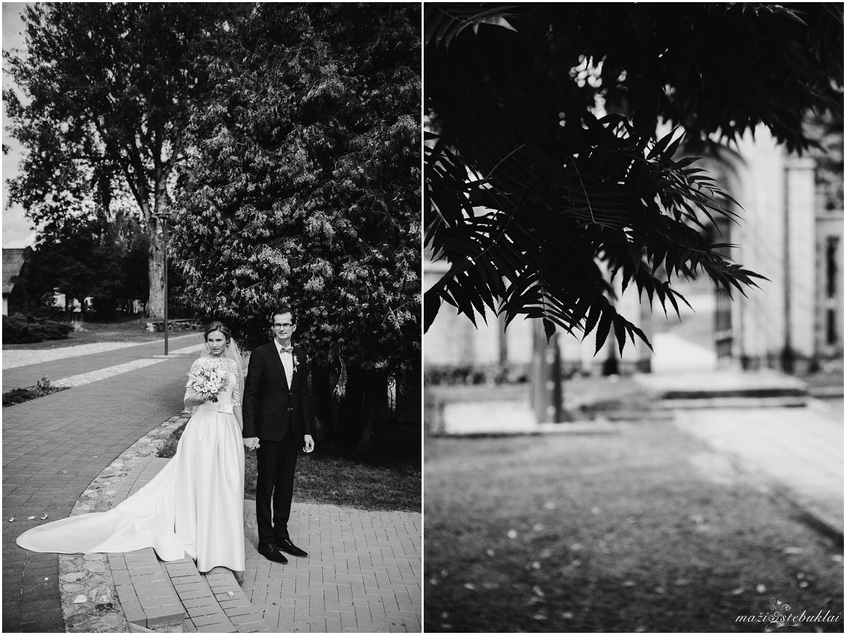 Vestuvinė fotosesija Kernavėje